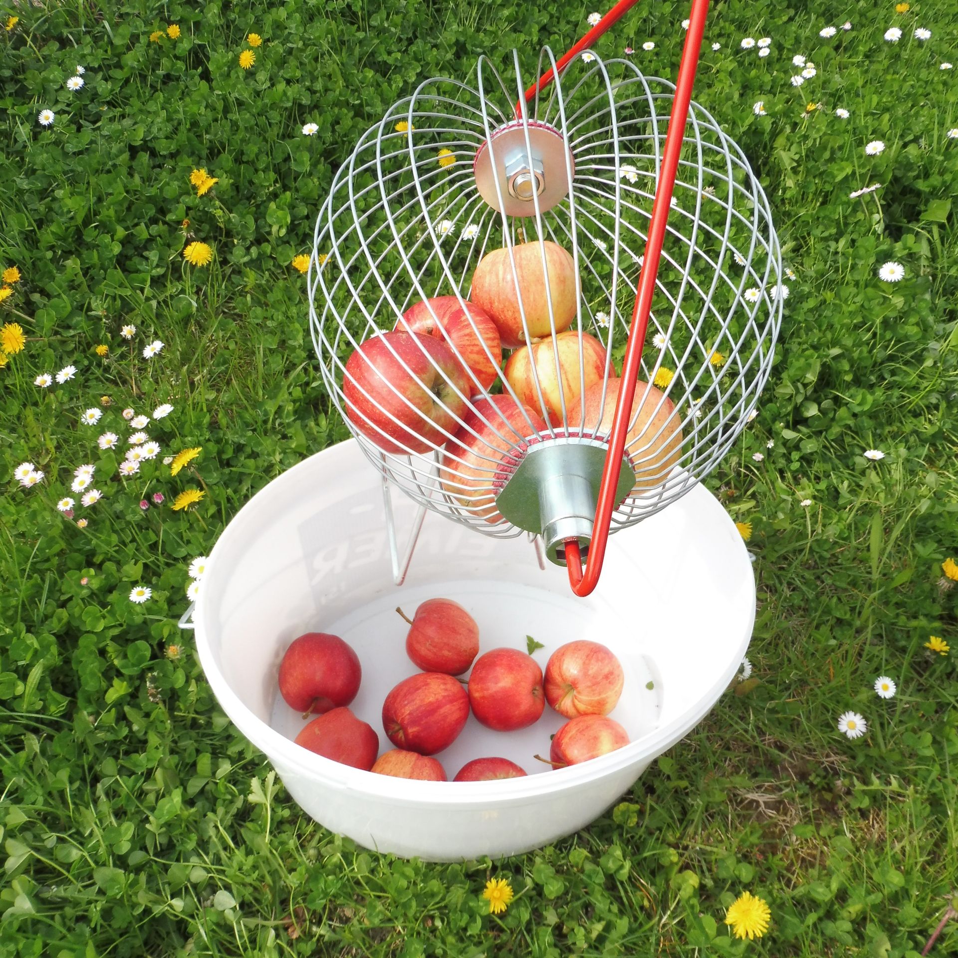 Rollblitz Apfel ohne Stab 7170023.5